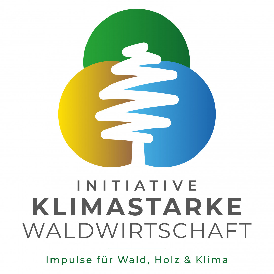 Klimastarke Waldwirtschaft